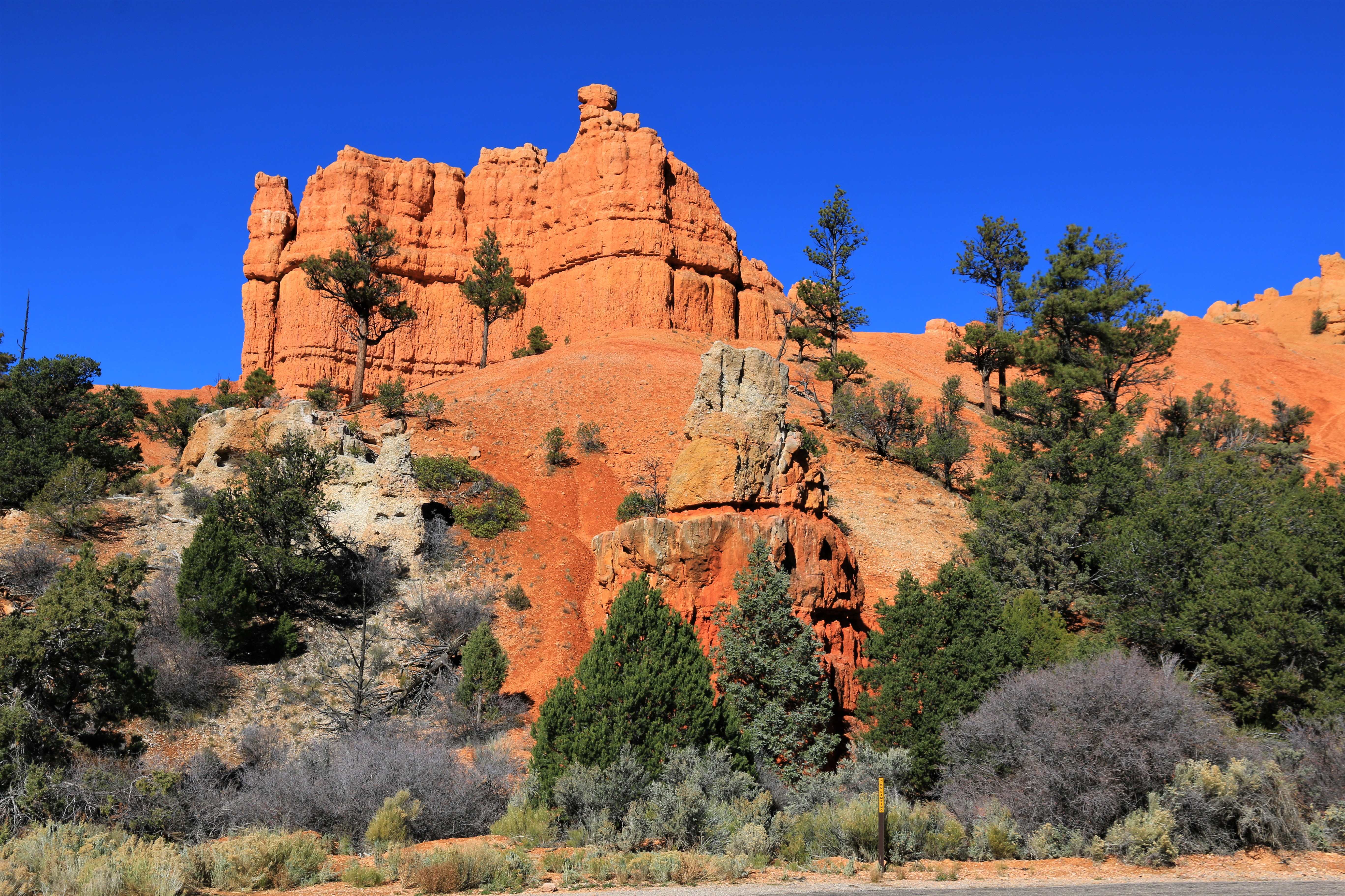 Red Canyon